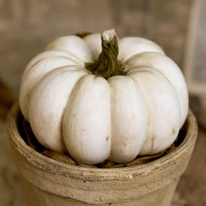 White Pumpkin from Air-Dry Clay