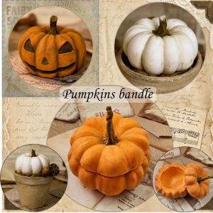 Pumpkin Set: 3 Master Classes